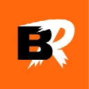 Betriot Casino icon